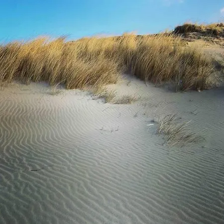 Meerblick Wattenmeer *