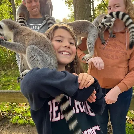 Prázdninový dům Meerblick Wattenmeer *