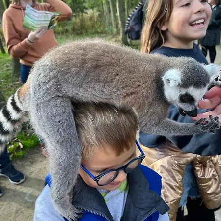 Prázdninový dům Meerblick Wattenmeer Westerland